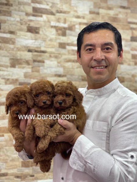 WhatsApp Image 2022-09-19 at 6.11.44 PM