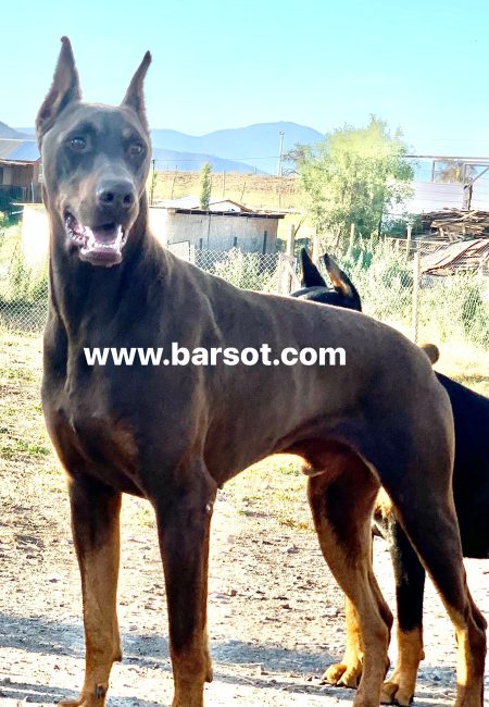 WhatsApp Image 2022-09-19 at 6.16.06 PM